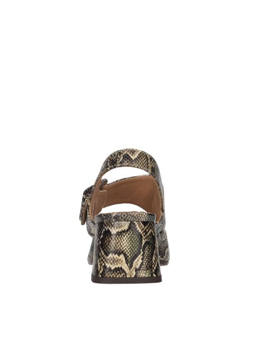  CHIE MIHARA | OPECO NARAMILI